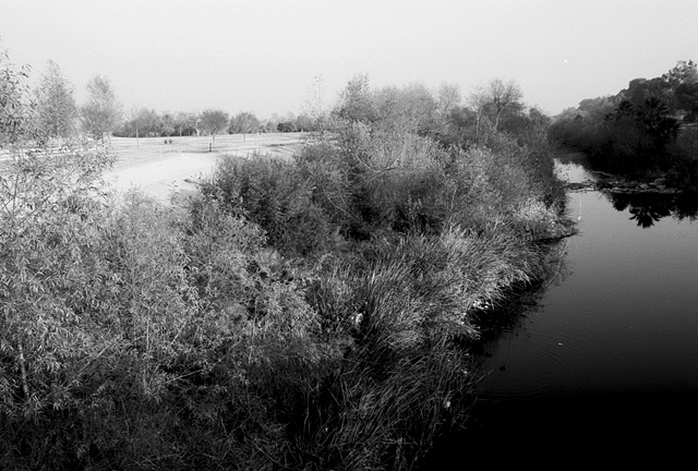 LA River, Sepulveda Dam Recreation Area, San Fernando Valley, #1, 1998