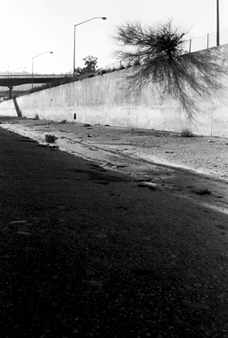 LA River, Hollywood Freeway, Streetlights & Bush, 1997