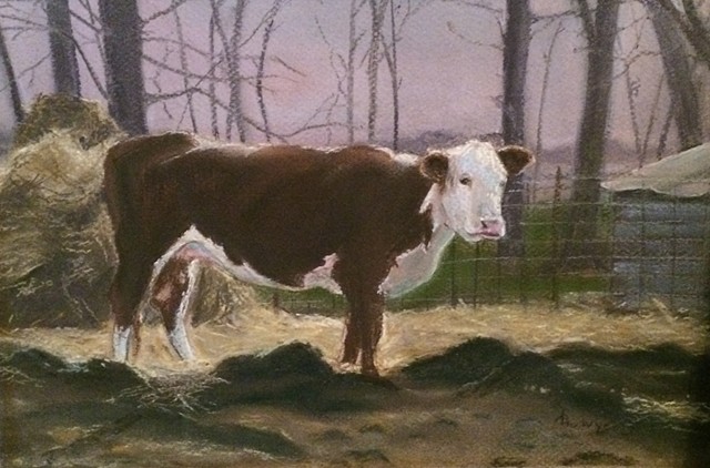 Solitary Cow