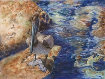 Pigeon-Toed Pelican