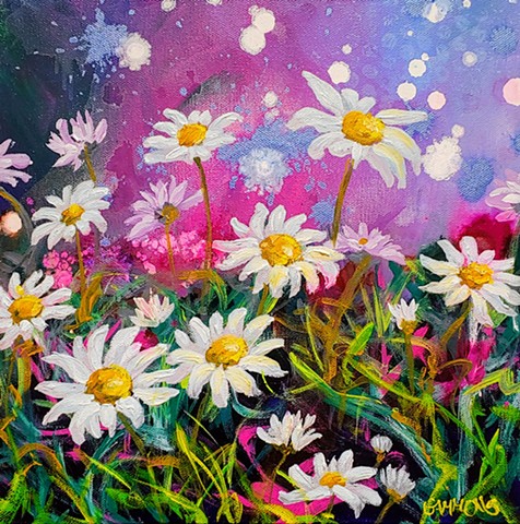 daisy, field, pink, purple, blush, flowers