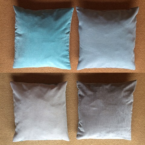 Pair of small Toss Pillows 