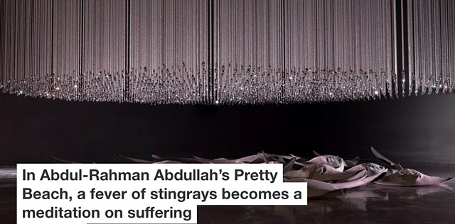 The Conversation - In Abdul-Rahman Abdullah’s Pretty Beach, a fever of stingrays becomes a meditation on suffering