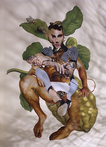Dominique Paul, Merian, photography, art, botanical illustration, collage, environment, male body, transformation, metamorphosis