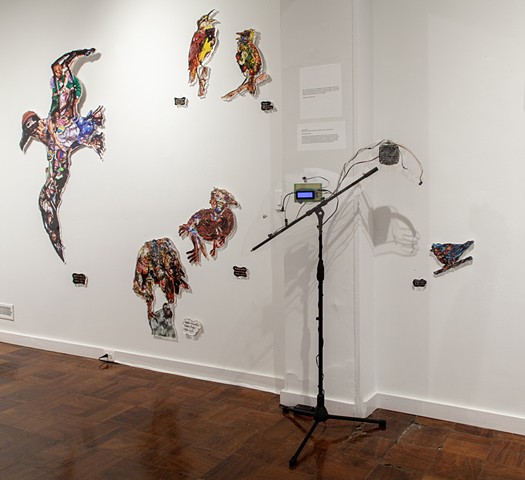 interactive artwork, sound installation, bird species, biodiversity