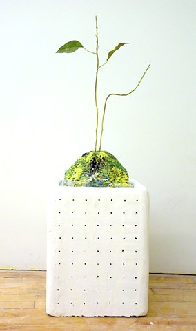 Plantklein