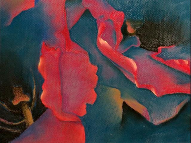 Close-up of two red gloxinias, predominant colors are red and blue, with some ocher and white.  Pastels on dark blue Canson Paper. 