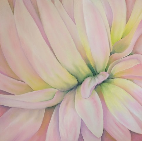 Close-up of a pink dahlia, focusing on the convergence of petals at the stem