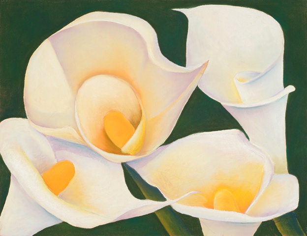 Floral Pastel  Pastel of four white calla lilies on white Canson paper.  
