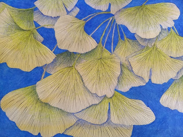 Ink drawing of ginkgo leaves, colored pencil shading and background