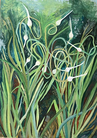 Garlic Scapes