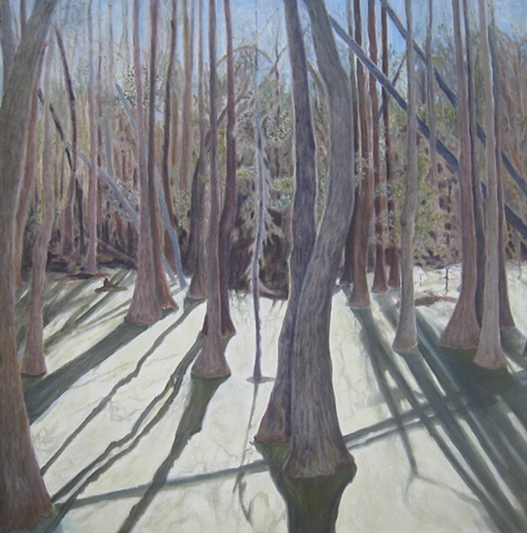 Refections of trees on silver surface of algea in waters of Magnolia Plantain 's swamp, N.C.