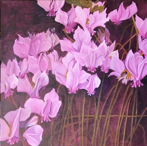 Cyclamen