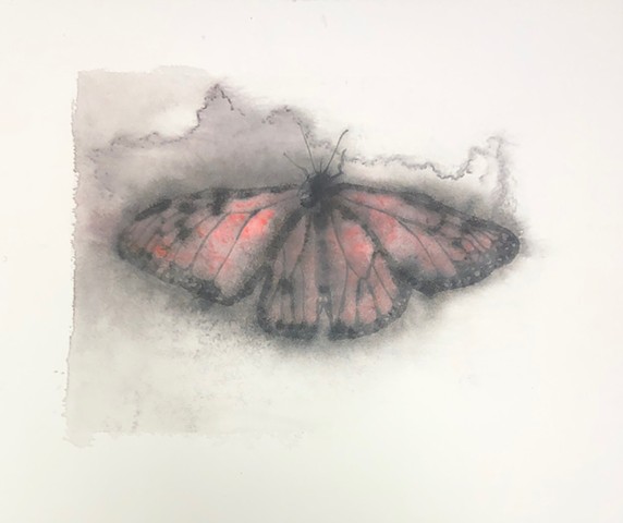 Monarch butterfly, ink transfer 