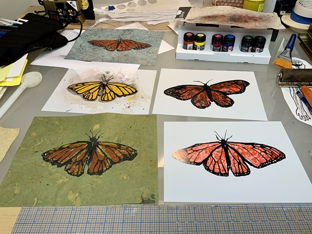 Monarchs in Progress