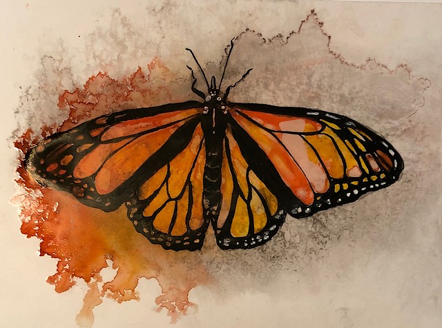 Monarch butterfly, Yupo paper, watercolor ink painting
