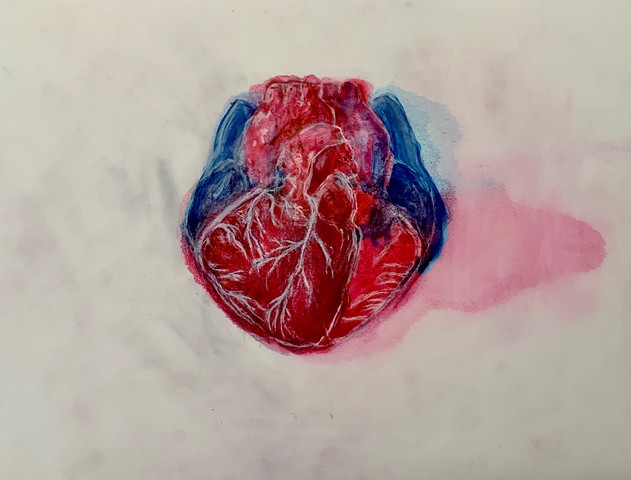 Human heart, Yupo, ink, drawing