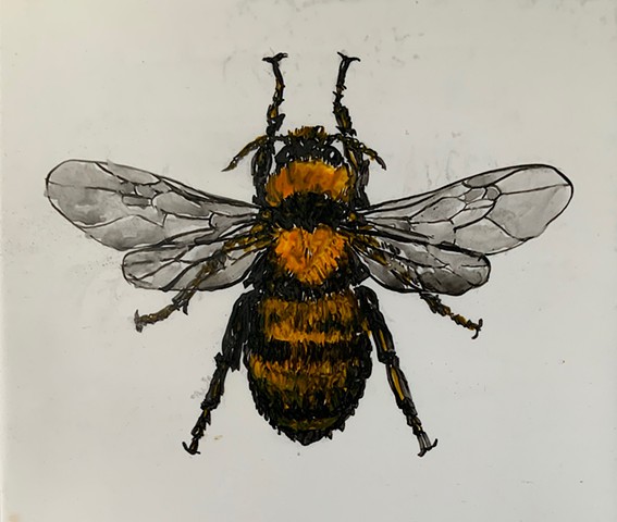 honey bee, painting, Yupo