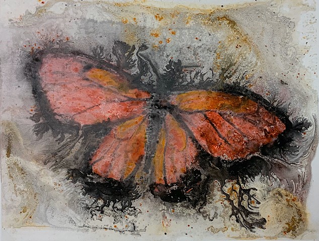 monarch butterfly, watercolor ink transfer