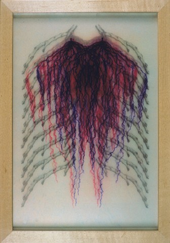 Laurie Rousseau, botanical, structures, anatomy, ribs, veins