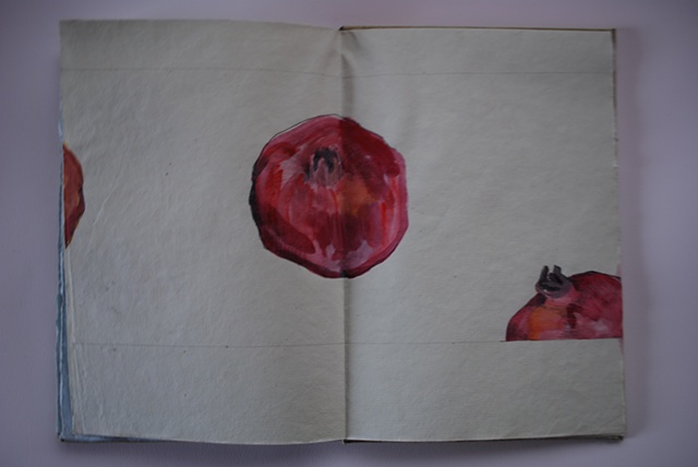 garden book - detail - pomegranate