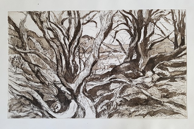 Scottish Highland Landscapes, Drawings and Etchings
2017 - 2019