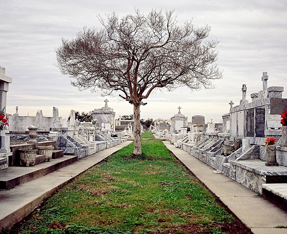 Cemetery, New Orleans, Louisiana
