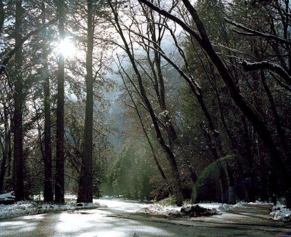 Inside Yosemite National Park