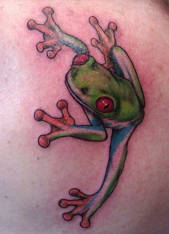 Peter McLeod Tattoo Red Eye Tree Frog tattoo