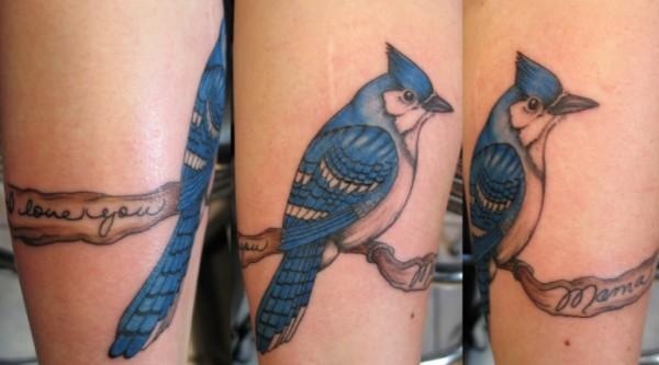 Peter McLeod Tattoo Blue Jay tattoo