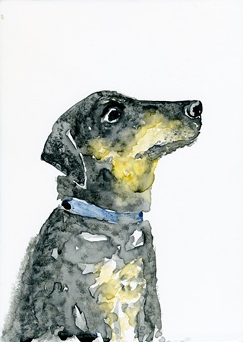Watercolor of dog looking off 