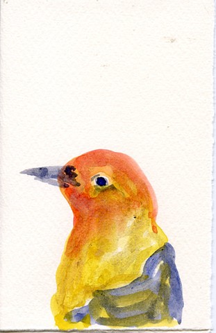 Bird Portrait