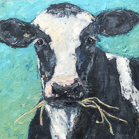 Black and white cow on blue chewing straw