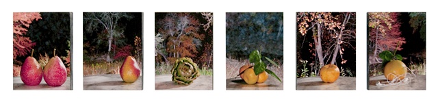 A series of 6 photos mounted on Ampersand board, then highly varnished