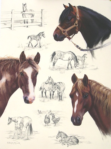 Pastel Portrait of Horses by Sally Baker Keller
