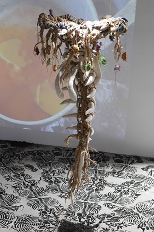 Interwoven Tension of Symbiosis