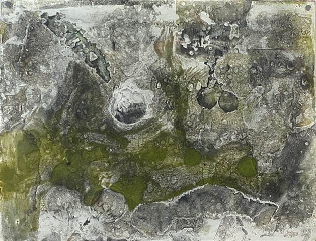 Microcystis abstraction II   encaustic monotype on Rives lightweight, 26" x 20"