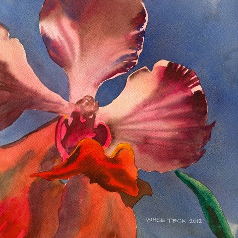 B1. Backlit Orchid
