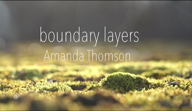 Boundary Layers