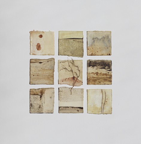Plant material, raw beeswax, earth and charcoal from Wave Hill on paper