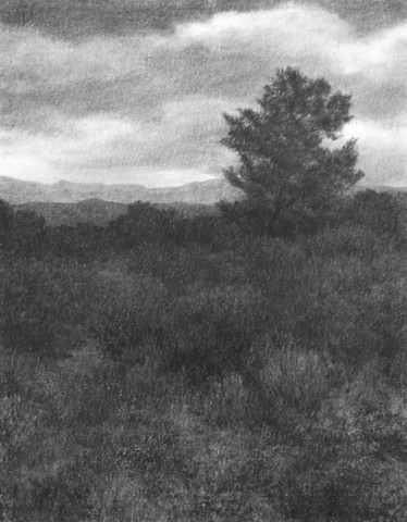 Katherine Meyer drawing charcoal New Mexico high desert