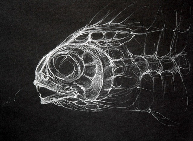 Fish Skeleton Sketch 2