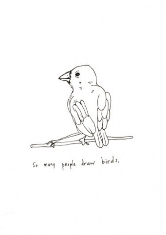 So Many People Draw Birds