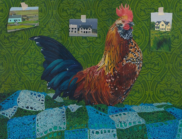 Rooster on afghan blanket with wallpaper background. Pictures of Irish Ghost Estates on wallpaper.