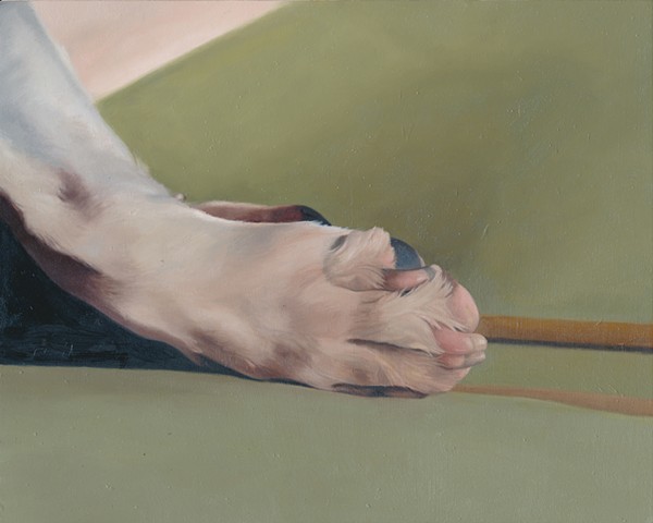 Oil painting of dog paw by Chantelle Norton.