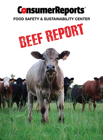 CR Beef Report
