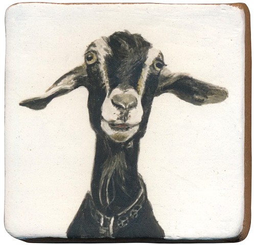 Ceramic handmade tile, hand painted with underglazes, high-fired, goat portrait by Chantelle Norton.