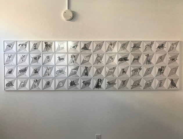 Pencil drawing installation of dog portraits against geometric background.