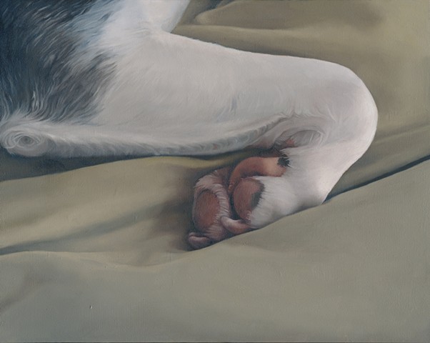 Oil painting of dog paw on panel.