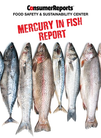 CR Mercury Report